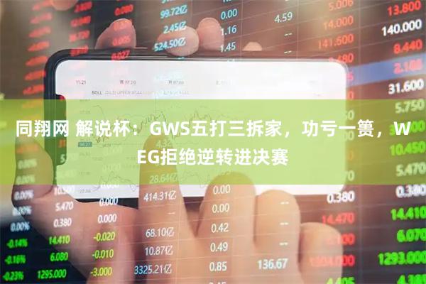 同翔网 解说杯：GWS五打三拆家，功亏一篑，WEG拒绝逆转进决赛
