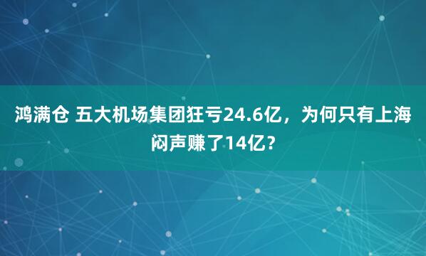 鸿满仓 五大机场集团狂亏24.6亿，为何只有上海闷声赚了14亿？
