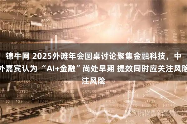 锦牛网 2025外滩年会圆桌讨论聚集金融科技，中外嘉宾认为 “AI+金融”尚处早期 提效同时应关注风险