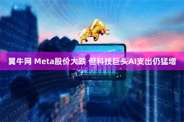 翼牛网 Meta股价大跌 但科技巨头AI支出仍猛增