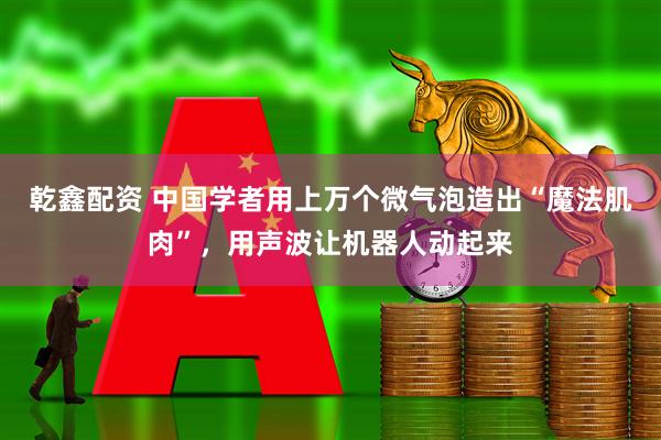 乾鑫配资 中国学者用上万个微气泡造出“魔法肌肉”，用声波让机器人动起来