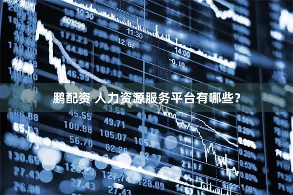 鹏配资 人力资源服务平台有哪些？