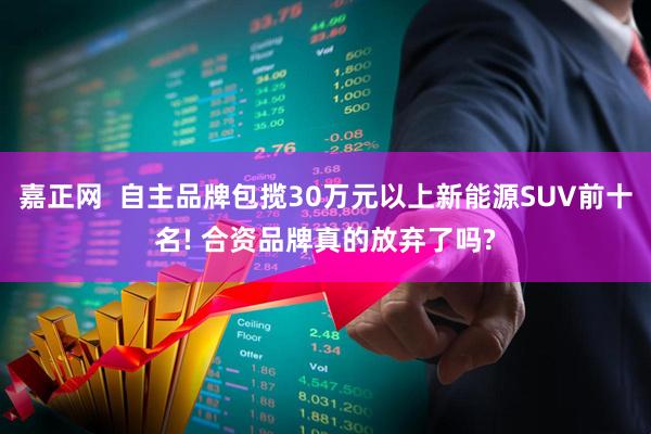 嘉正网  自主品牌包揽30万元以上新能源SUV前十名! 合资品牌真的放弃了吗?