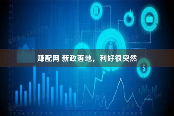 赚配网 新政落地，利好很突然