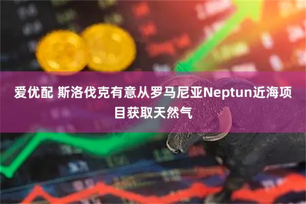 爱优配 斯洛伐克有意从罗马尼亚Neptun近海项目获取天然气